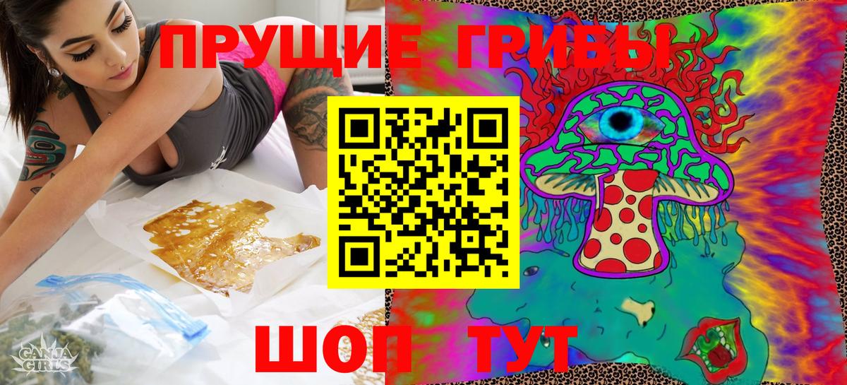 Галлюциногенные грибы Psilocybine cubensis Арсеньев