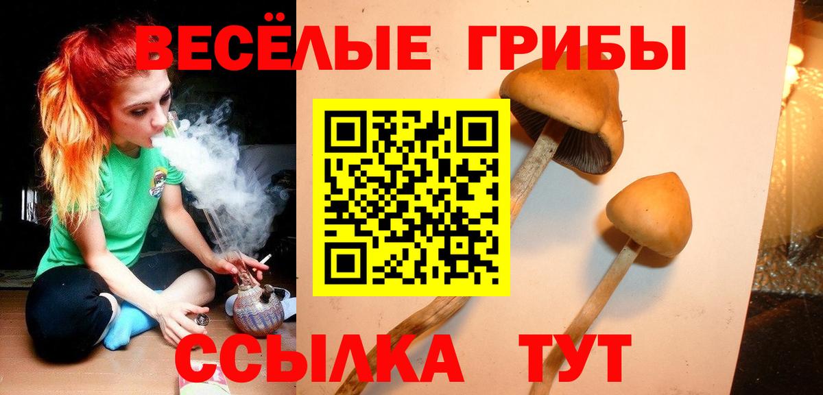 Арсеньев  Галлюциногенные грибы Cubensis  Галлюциногенные грибы GOLDEN TEACHER  Вход с VPN 